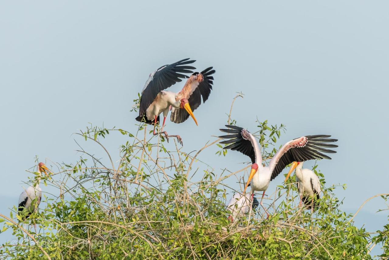 Lake Natron Maasai Giraffe Eco Lodge And Camping Mtowabaga Екстериор снимка