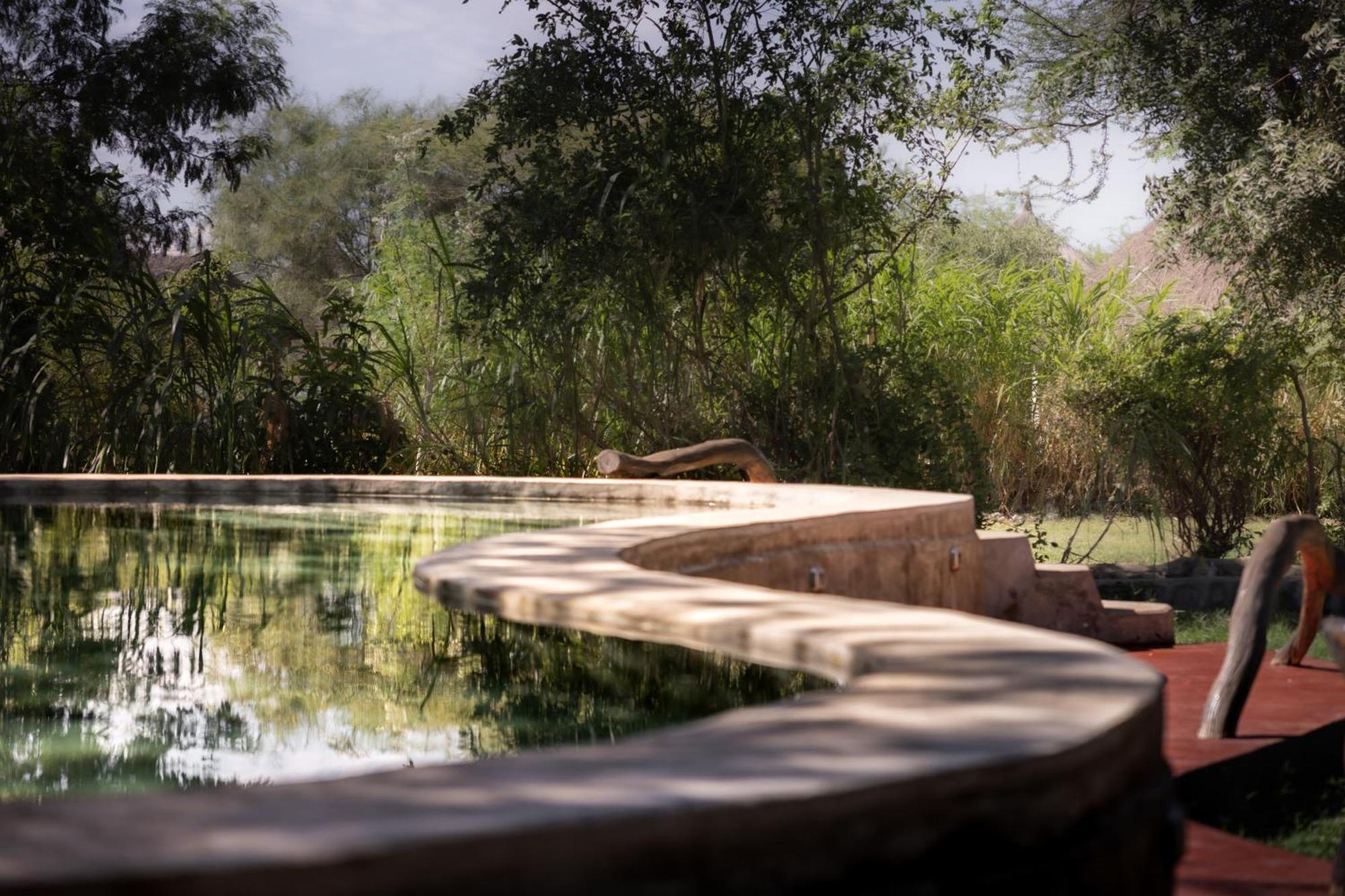Lake Natron Maasai Giraffe Eco Lodge And Camping Mtowabaga Екстериор снимка