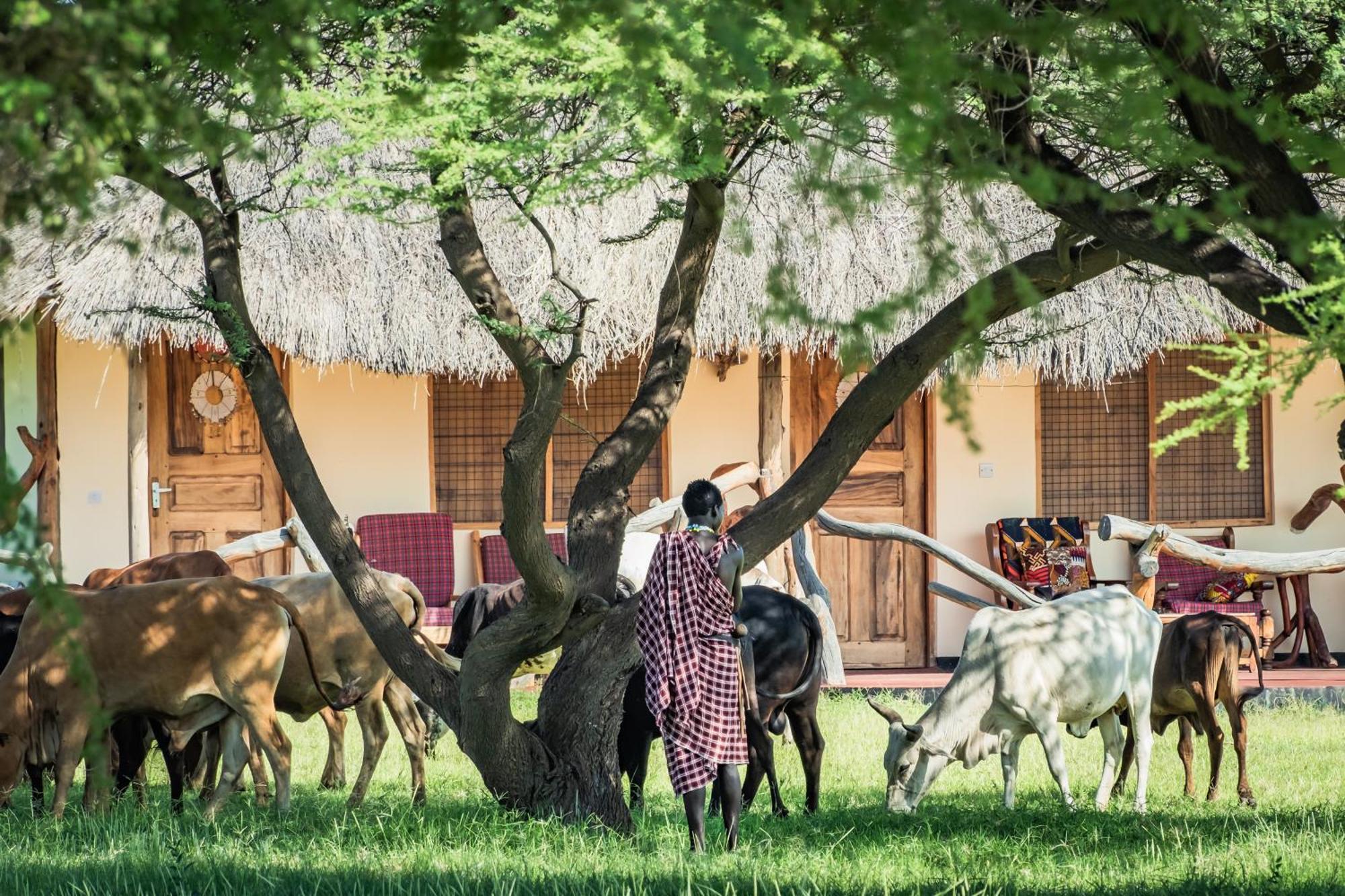 Lake Natron Maasai Giraffe Eco Lodge And Camping Mtowabaga Екстериор снимка