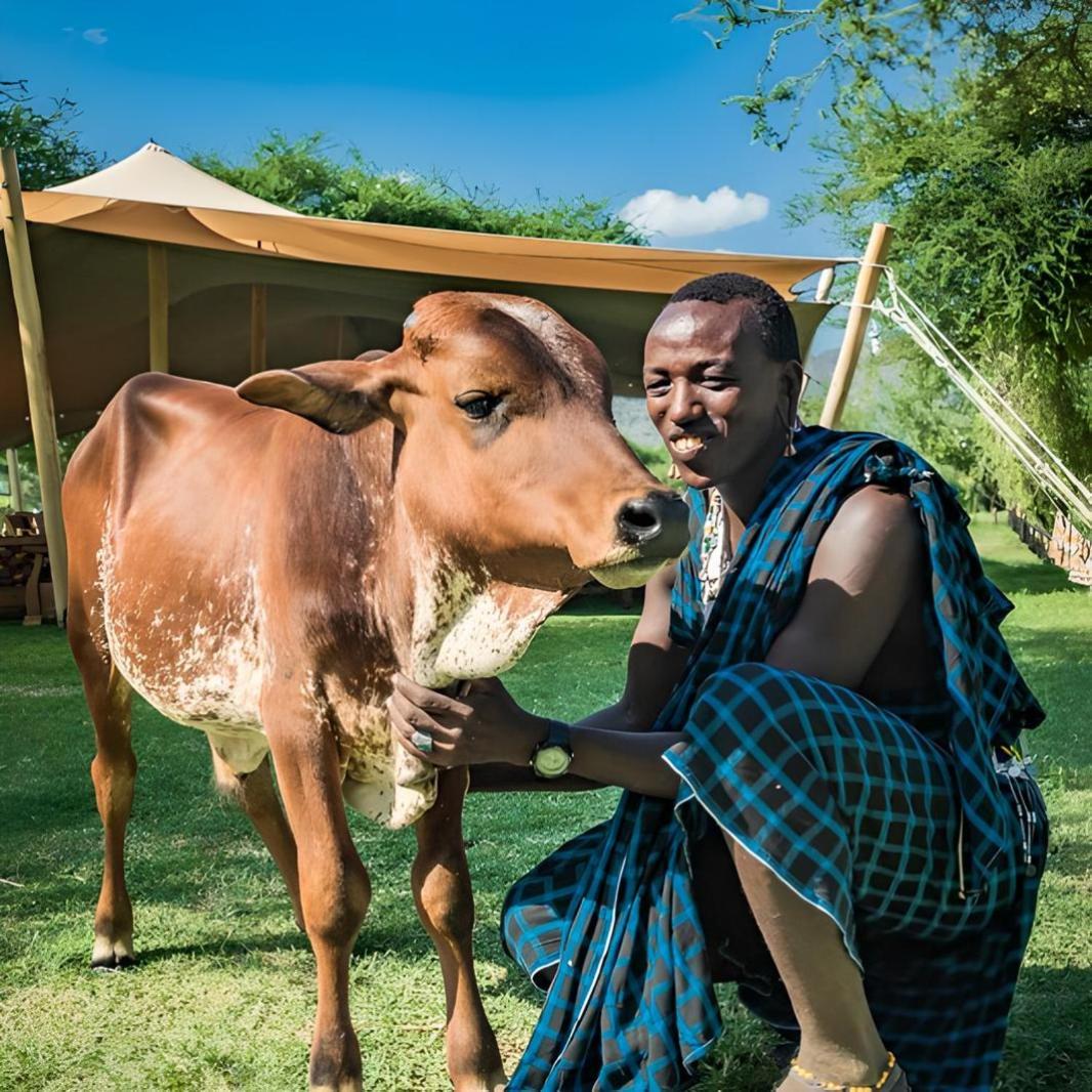Lake Natron Maasai Giraffe Eco Lodge And Camping Mtowabaga Екстериор снимка